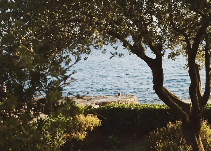 House Petar 1 Ζαντάρ