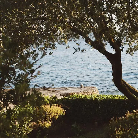 House Petar 1 扎达尔